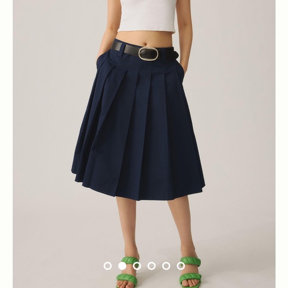 Anthropologie Pleated Midi Skirt - Picture 2 of 15